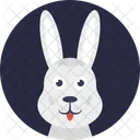 Rabbit Hare Bunny Icon