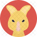 Rabbit Hare Bunny Icon