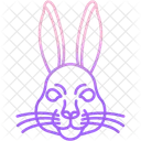 Rabbit  Icon