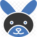 Rabbit Hare Bunny Icon