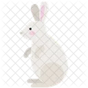 Rabbit  アイコン