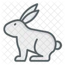 Rabbit  Icon