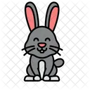 Rabbit  Icon