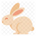 Rabbit  Icon