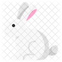 Rabbit Hare Bunny Icon