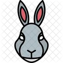 Rabbit Hare Bunny Icon