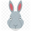 Rabbit Hare Bunny Icon