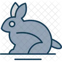 Rabbit Bunny Animal Icon