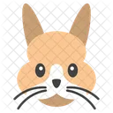 Rabbit Face  Icon