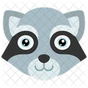 Raccoon  Icône