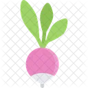 Radish  Icon