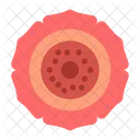 Rafflesia  Icono