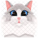 Ragdoll  Icon