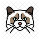 Ragdoll Cat  Icon