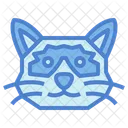 Ragdoll Cat  Icon