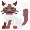 Ragdoll Cat  Icon