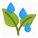 Raindrops  Icon