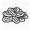 Raisins Fruit Healthy Icon