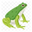 Frog Toad Bullfrog Icon