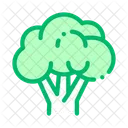 Healthy Food Vegetable Icon