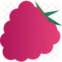 Raspberries Berry Food Icon