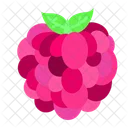 Raspberry Berry Vegetable Icon