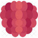 Raspberry Berry Fruit Icon