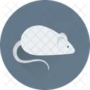 Rat Mouse Animal Icon