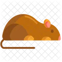 Ungeziefer Ratte Maus Symbol