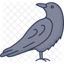 Raven Bird Crow Icon