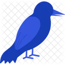 Raven Bird Crow Icon