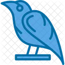 Raven Crow Bird Icon