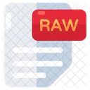 Raw File  Icon