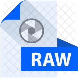 Raw File  Icon