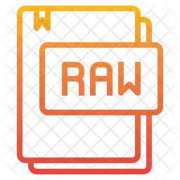 Raw File  Icon