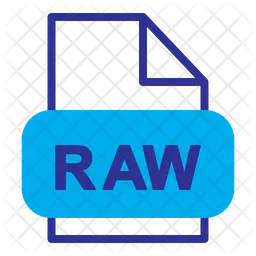 Raw File  Icon