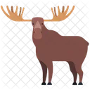 Red Deer  Icon