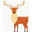 Red Deer  Icon