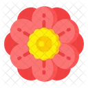 Red Zinnia  Icon