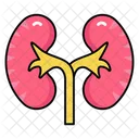 Renal Organ Filtration Organ Excretory Organ アイコン