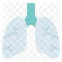 Respirator Mask Protection Icon