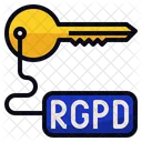 Rgpd Access Key Icon