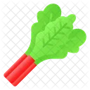 Rhubarb Salad Natural Icon