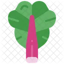 Rhubarb Vegetable Leaf Icon