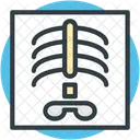 Ribs Radiology Radioscopy Icon