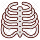 Ribs Rib Cage Skeleton Icon