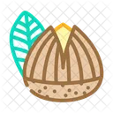 Roasted Chestnut Autumn Icon