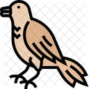 Rotkehlchen Vogel Singvogel Symbol