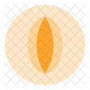 Melon Cantaloupe Organic Symbol