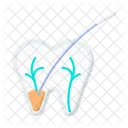 Dental Medical Tooth Symbol